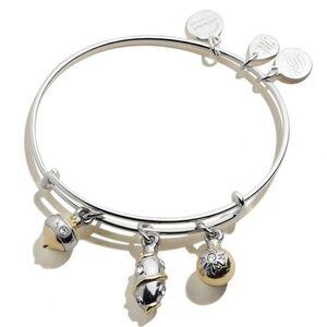 (NWT) Alex and Ani Ornament Trio Two-Tone Charm Bangle Bracelet